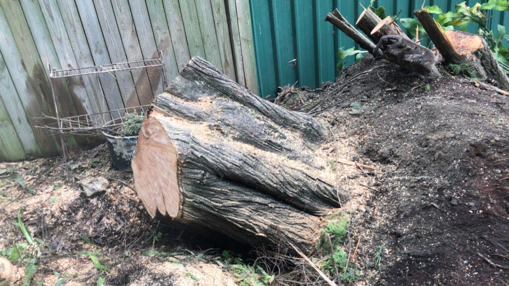 Residential Stump Grinding & Leveling